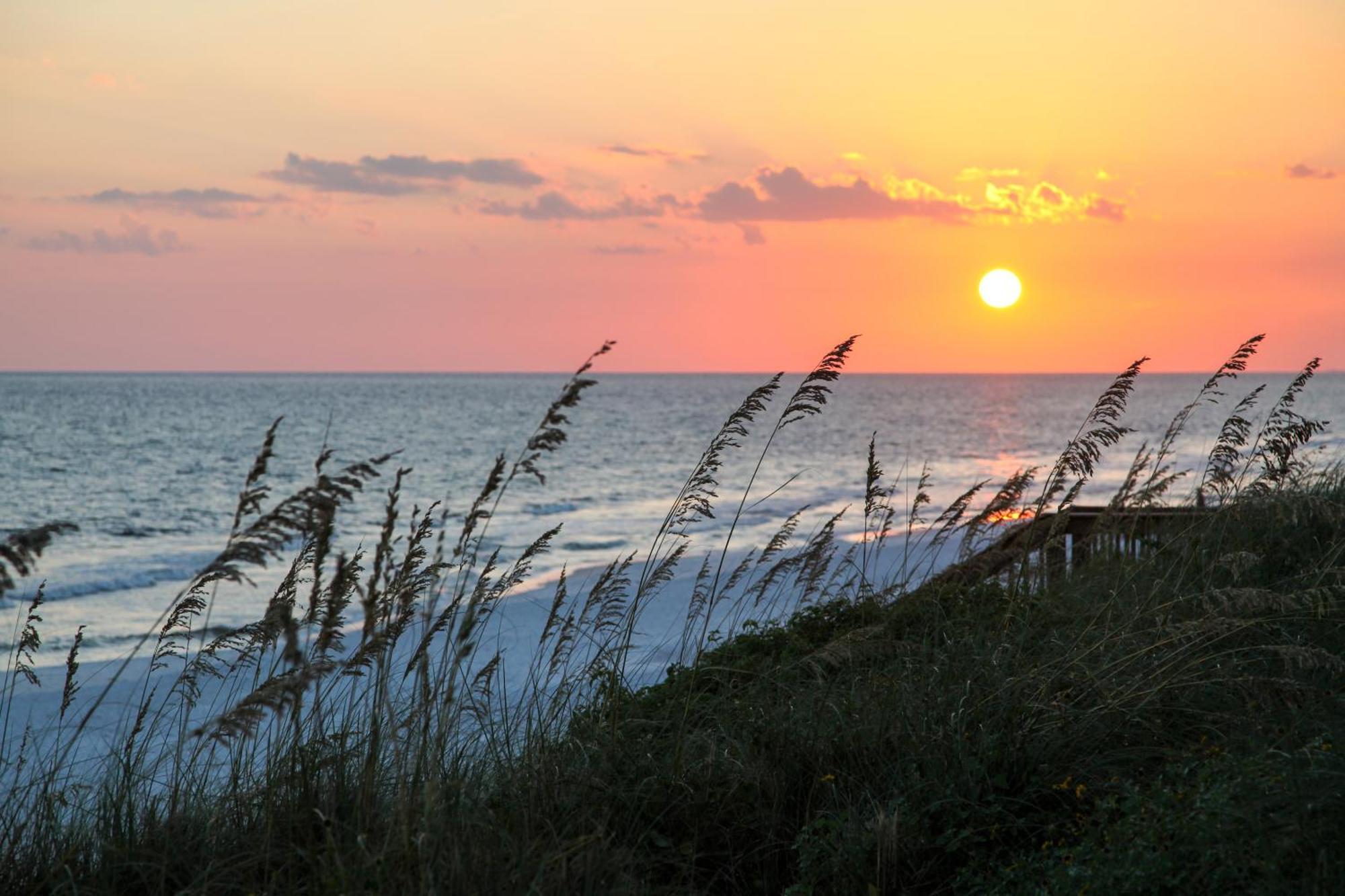 Wood Beach Retreat Santa Rosa Beach Bagian luar foto